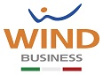 Logo Wind Business